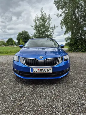 Skoda Octavia Style 1.6  Bild 2