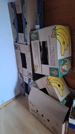bananenschachtel umzugskartons