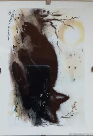 Bild: schwarze Katze, zu verschenken 