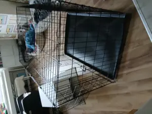 Hundekäfig, Hundebox wie neu Bild 2
