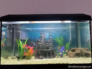 Aquarium zu verschenken