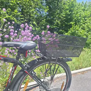 Fahrrad 29" Bild 2