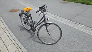 Sursee Citybird Bild 2