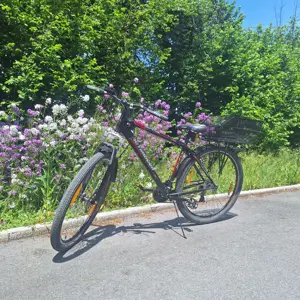 Fahrrad 29" Bild 6