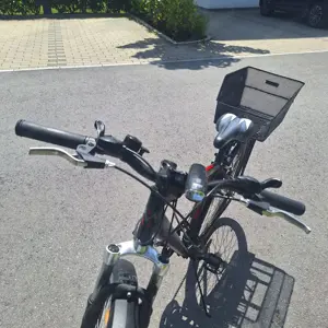 Fahrrad 29" Bild 7
