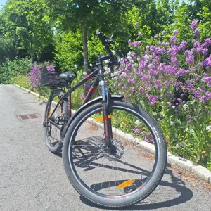 Fahrrad 29" Bild 5