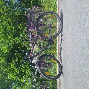 Fahrrad 29"