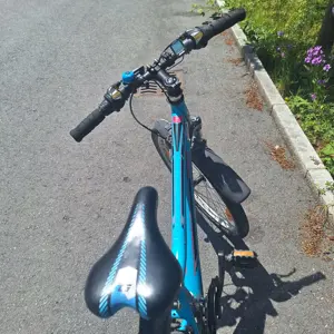 Fahrrad 24" Bild 4