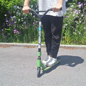 Skatepark Scooter Bild 4