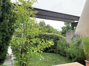 Reihenhaus in genialer Lage in Bregenz zu vermieten Bild 3