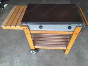 Gasgriller 2 Platten in super gutem zustand Bild 2