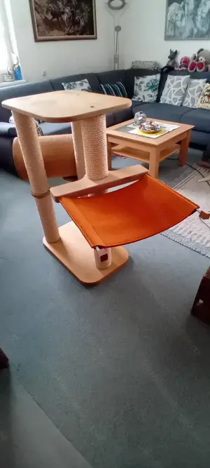 Toller KRATZBAUM massiv  Bild 2