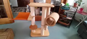 Toller KRATZBAUM massiv 