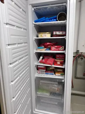 Tiefkühlschrank 170cm Bild 2