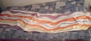 Verschenke Vorhänge Vorhang  Bild 9
