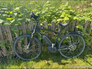 E-bike, E-bike KTM Cento 10 Plus, Bosch, RH 51, Performance Bild 6