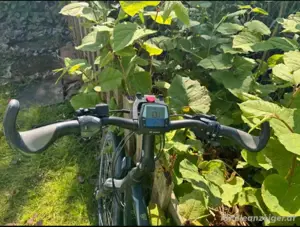 E-bike, E-bike KTM Cento 10 Plus, Bosch, RH 51, Performance Bild 7