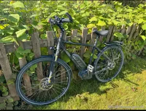 E-bike, E-bike KTM Cento 10 Plus, Bosch, RH 51, Performance Bild 8