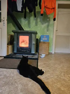Holzofen zu verkaufen 