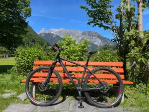 Genesis Impact Carbon Hardtail MTB 29 Zoll 48cm Rahmen 11kg SID GX XT wie Neu Bild 2