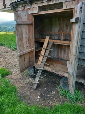 Hühnerstall 
