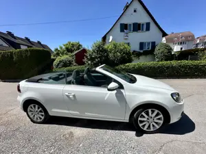 Golf Cabrio zu verkaufen  Bild 5