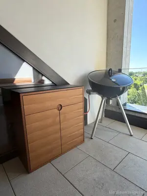 Gasgrill Eva Solo