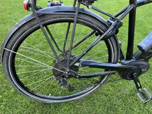 E-Bike Herren Victoria Bild 4