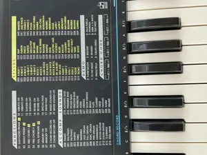 Cooler Sound für deine Sommerparty? Kannst du haben, mit diesem ELEKTRONISCHEN KEYBOARD!! Bild 6