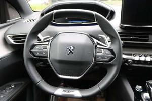 Peugeot 3008 Bild 13
