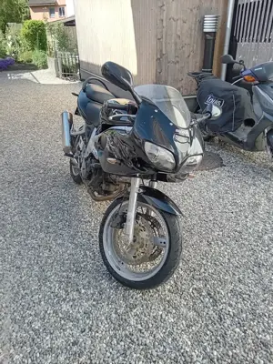 Suzuki sv650 s Knubbel 