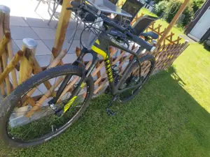 Canyon   Grand Canyon MTB  Bild 3