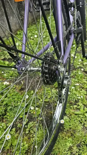 Verkaufe gut erhaltenes Damenfahrrad Bild 3