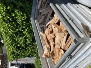 Buche Brennholz 38cm