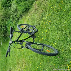 Kinder - Jugendrad Bild 5