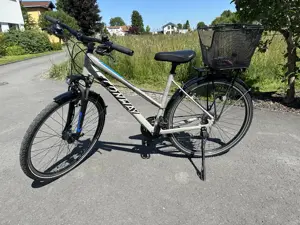 Conway Damenfahrrad TS300