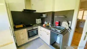 Herd Herdplatte Kühlschrank Küche