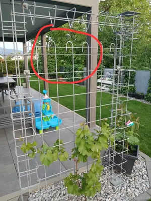 Suche Baustahlgitter