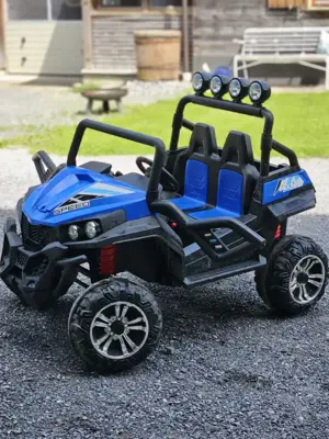 Kinderquad 2 Sitzer Bild 3