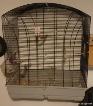Käfig und Vögel Bild 2