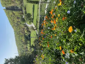ITALIEN Biken   Baden   Ausflüge in UMBRIEN (Assisi, Perugia)  Bild 9