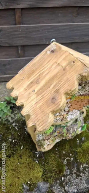 Insektengotel Bild 5