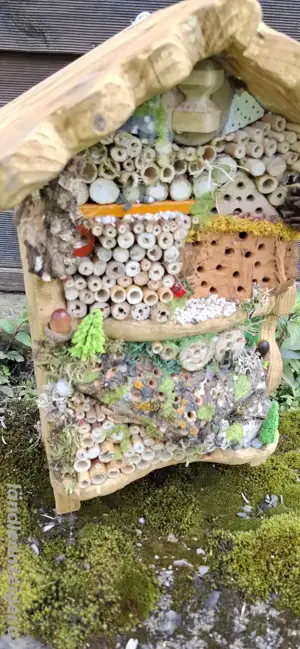 Insektengotel Bild 2