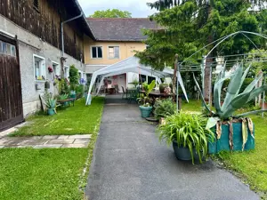 Malkurs - Gutschein für 10 - 14 Jahre Bild 3