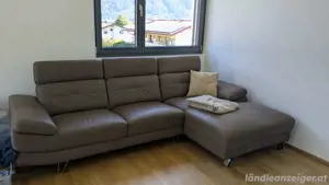 braune Coach  