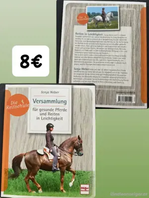 Pferde Buch Bild 3