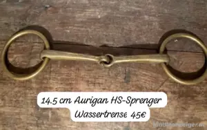 Wassertrense Bild 4