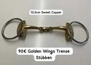 Golden Wings Trense Stübben  Bild 2