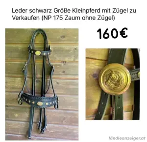 Barockzaum für Kleinpferd Bild 5