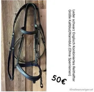 Englisch Kombiniertes Reithalfter Bild 4